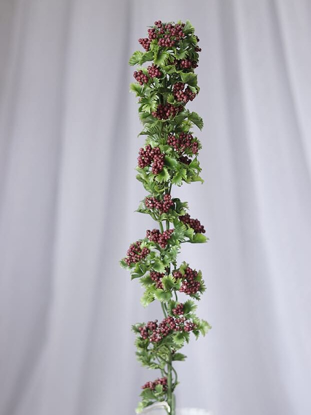 Vara Follaje Mini Uvas - Follaje y Plantas Envios a Bogotá y toda Colombia | Dkora Colombia