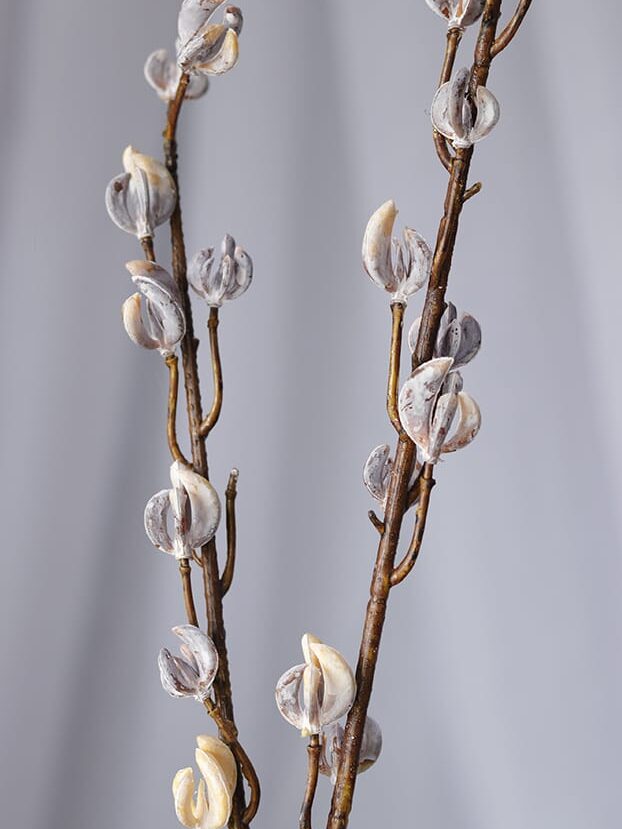 Vara de Sauce por 2 - Follaje y Plantas Envios a Bogotá y toda Colombia | Dkora Colombia