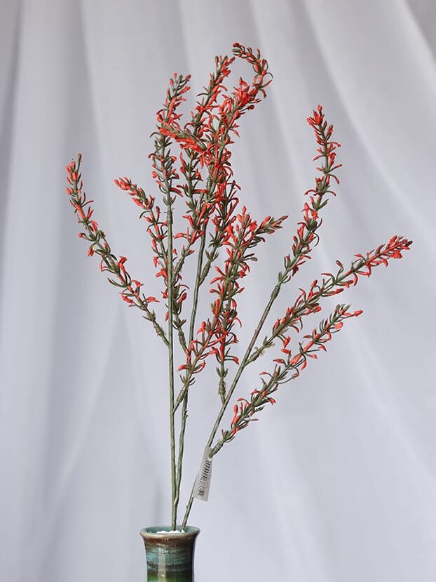 Vara follaje Genista – Rojo - Follaje y Plantas Envios a Bogotá y toda Colombia | Dkora Colombia