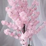 Mata Monstera – Verde - Follaje y Plantas Envios a Bogotá y toda Colombia | Dkora Colombia