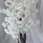 Mata Monstera – Verde - Follaje y Plantas Envios a Bogotá y toda Colombia | Dkora Colombia