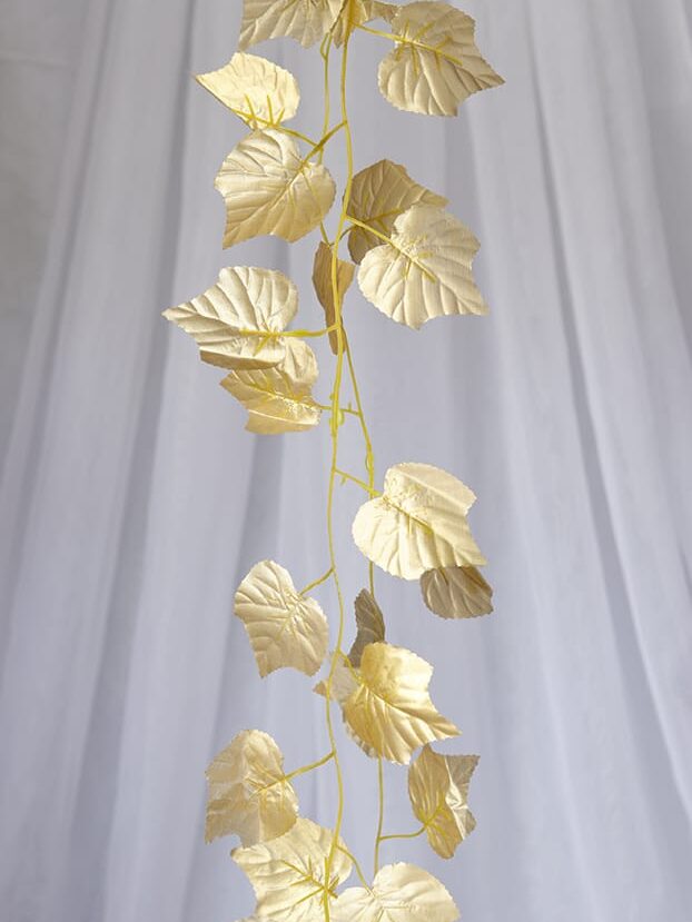 Enredadera Hojas – Dorada - Follaje y Plantas Envios a Bogotá y toda Colombia | Dkora Colombia