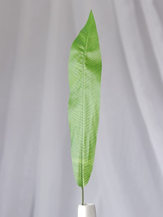 Hoja Mango- Verde - Follaje y Plantas Envios a Bogotá y toda Colombia | Dkora Colombia