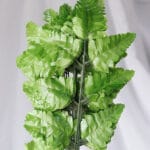 Flor Lluvia por 3 - Follaje y Plantas Envios a Bogotá y toda Colombia | Dkora Colombia