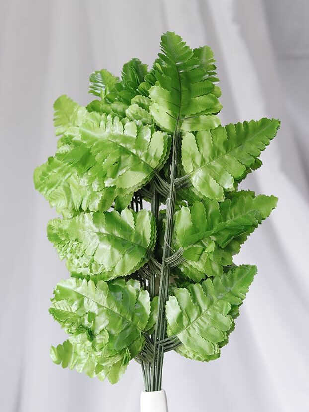 Helecho Cuero por 20 - Follaje y Plantas Envios a Bogotá y toda Colombia | Dkora Colombia