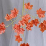 Hoja Arce – Roja y Amarillo - Follaje y Plantas Envios a Bogotá y toda Colombia | Dkora Colombia