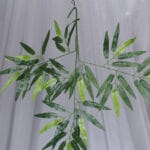 Hoja Hederá Hélix – Verde Claro - Follaje y Plantas Envios a Bogotá y toda Colombia | Dkora Colombia