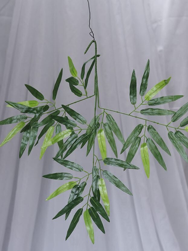 Hoja Bailarina- Verde - Follaje y Plantas Envios a Bogotá y toda Colombia | Dkora Colombia