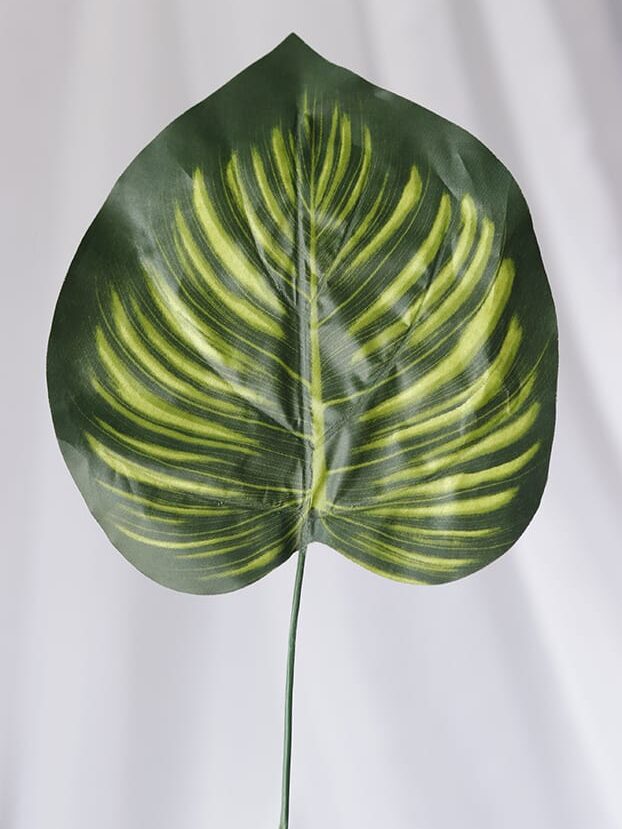 Hoja Planta Tropical – Verde y Amarillo - Follaje y Plantas Envios a Bogotá y toda Colombia | Dkora Colombia