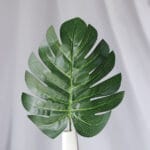 Hoja Palma – Verde - Follaje y Plantas Envios a Bogotá y toda Colombia | Dkora Colombia