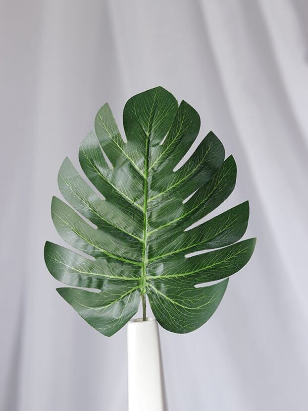 Hoja Flechera – Verde - Follaje y Plantas Envios a Bogotá y toda Colombia | Dkora Colombia