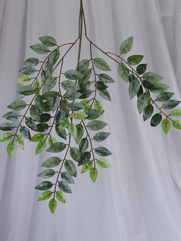 Hoja Flor de Cera- Verde Oscuro y Verde Claro - Follaje y Plantas Envios a Bogotá y toda Colombia | Dkora Colombia