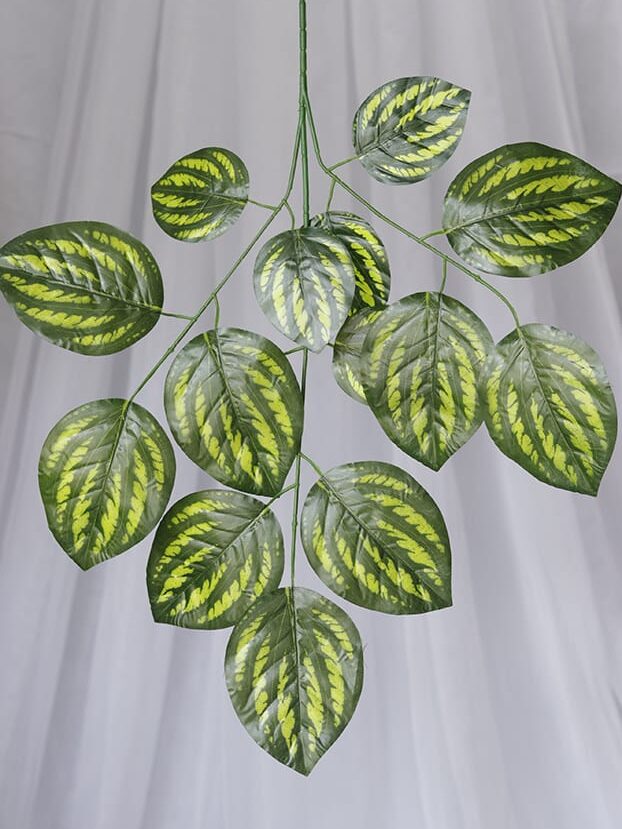 Hoja Sandia – Verde y Amarillo - Follaje y Plantas Envios a Bogotá y toda Colombia | Dkora Colombia