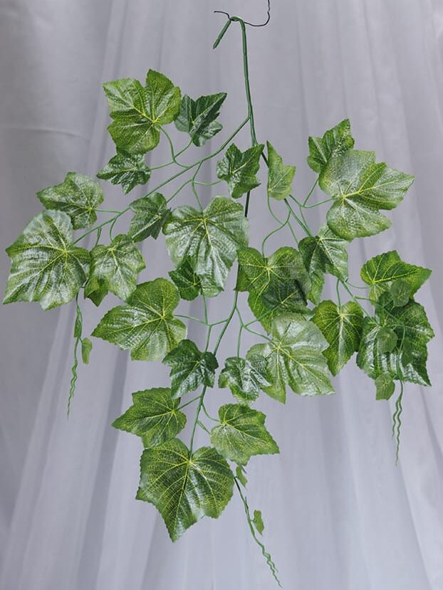 Hoja de Uva – Verde - Follaje y Plantas Envios a Bogotá y toda Colombia | Dkora Colombia