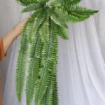 Enredadera Hojas – Plata - Follaje y Plantas Envios a Bogotá y toda Colombia | Dkora Colombia