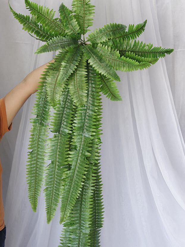 Helecho por 47 – Verde - Follaje y Plantas Envios a Bogotá y toda Colombia | Dkora Colombia