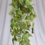 Planta Helecho de Boston – Verde Claro - Follaje y Plantas Envios a Bogotá y toda Colombia | Dkora Colombia