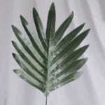 Hoja Balazo – Verde - Follaje y Plantas Envios a Bogotá y toda Colombia | Dkora Colombia