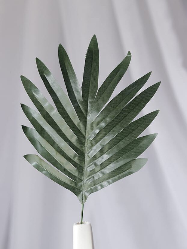 Hoja Flechera Pequeña – Verde Oscuro - Follaje y Plantas Envios a Bogotá y toda Colombia | Dkora Colombia