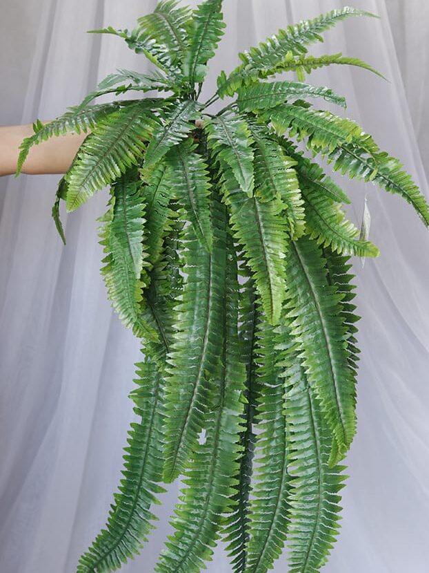 Helecho por 37 – Verde - Follaje y Plantas Envios a Bogotá y toda Colombia | Dkora Colombia