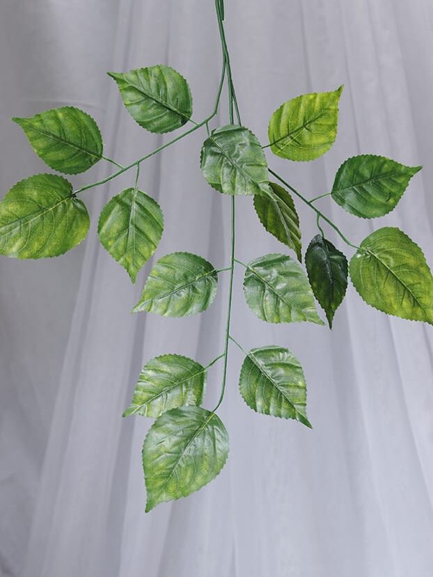 Hoja Vid Reales – Verde y Amarillo - Follaje y Plantas Envios a Bogotá y toda Colombia | Dkora Colombia