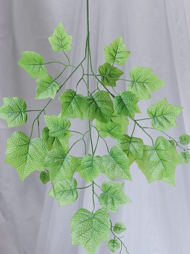 Hoja Hederá Hélix – Verde Claro - Follaje y Plantas Envios a Bogotá y toda Colombia | Dkora Colombia