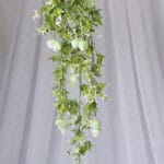 Hoja Flor de Cera- Verde Oscuro y Verde Claro - Follaje y Plantas Envios a Bogotá y toda Colombia | Dkora Colombia