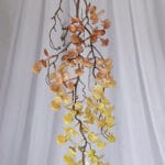 Planta Helecho de Boston – Verde y Rojo - Follaje y Plantas Envios a Bogotá y toda Colombia | Dkora Colombia