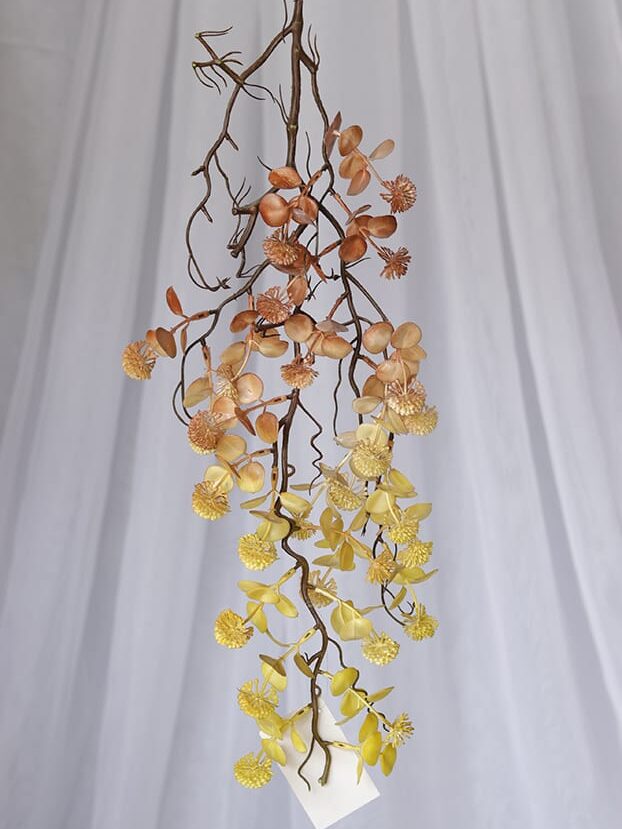 Planta Flor Eucalipto – Amarillo y Café - Follaje y Plantas Envios a Bogotá y toda Colombia | Dkora Colombia