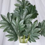 Mata Hoja Alocasia por 24 - Follaje y Plantas Envios a Bogotá y toda Colombia | Dkora Colombia