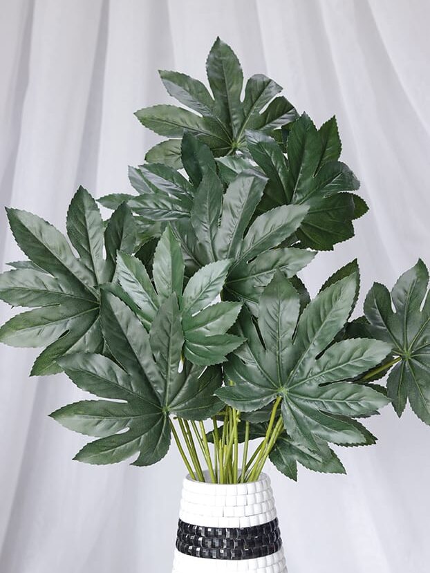 Mata por 18 - Follaje y Plantas Envios a Bogotá y toda Colombia | Dkora Colombia