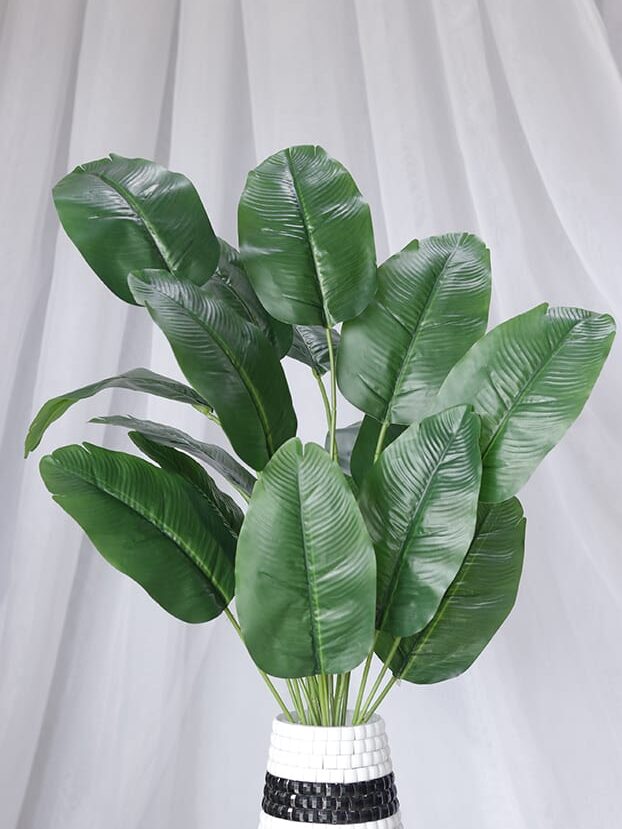 Mata por 18 - Follaje y Plantas Envios a Bogotá y toda Colombia | Dkora Colombia