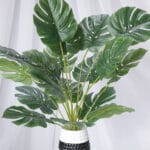 Mata por 18 - Follaje y Plantas Envios a Bogotá y toda Colombia | Dkora Colombia