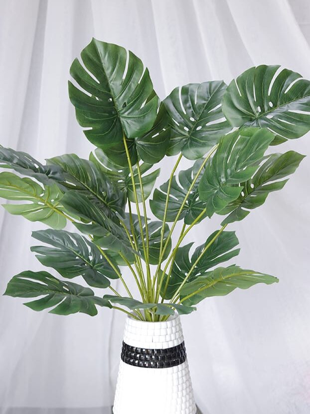 Mata por 18 - Follaje y Plantas Envios a Bogotá y toda Colombia | Dkora Colombia