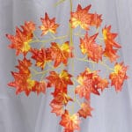 Hoja Bailarina- Verde - Follaje y Plantas Envios a Bogotá y toda Colombia | Dkora Colombia