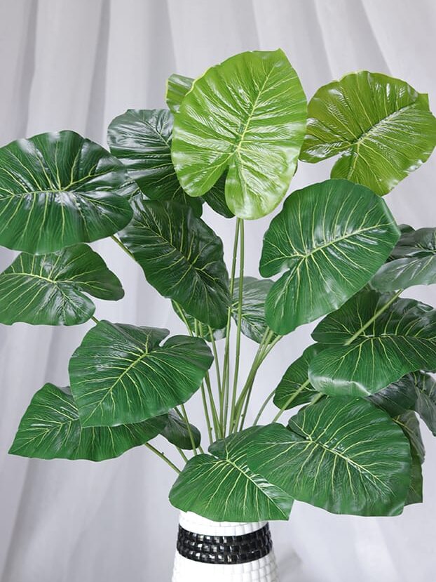 Mata Hoja Alocasia por 24 - Follaje y Plantas Envios a Bogotá y toda Colombia | Dkora Colombia