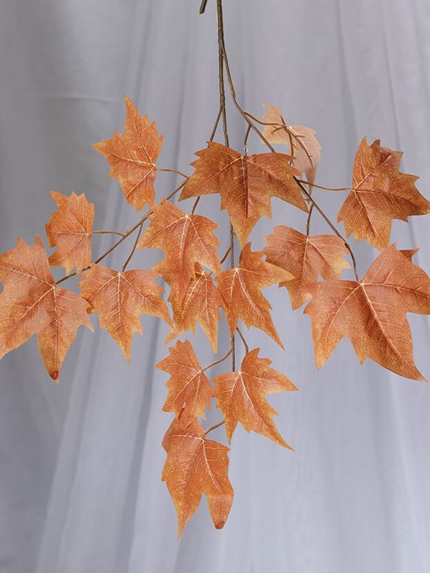 Hoja Arce – Café - Follaje y Plantas Envios a Bogotá y toda Colombia | Dkora Colombia