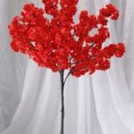 Planta de Bambú Pequeño - Follaje y Plantas Envios a Bogotá y toda Colombia | Dkora Colombia