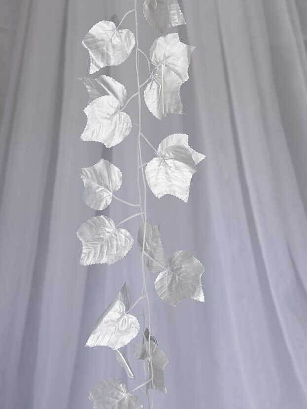 Enredadera Hojas – Plata - Follaje y Plantas Envios a Bogotá y toda Colombia | Dkora Colombia