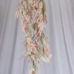 Planta Flor Verdugo – Verde y Blanco - Follaje y Plantas Envios a Bogotá y toda Colombia | Dkora Colombia