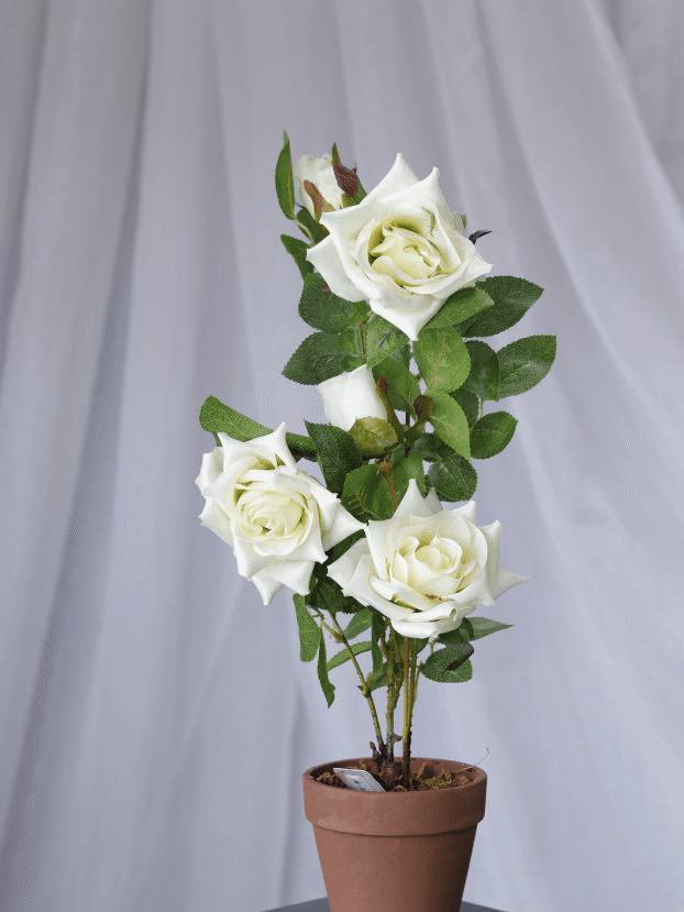 Matera Rosas por 5 – Blanco - Flores Artificiales Envios a Bogotá y toda Colombia | Dkora Colombia