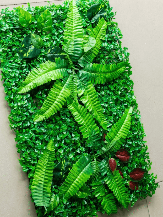 Tapete con Helecho– Verde - Follaje y Plantas Envios a Bogotá y toda Colombia | Dkora Colombia