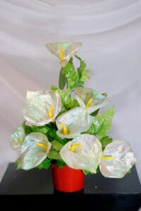 Anturio con Helecho - Amor y Amistad Envios a Bogotá y toda Colombia | Dkora Colombia