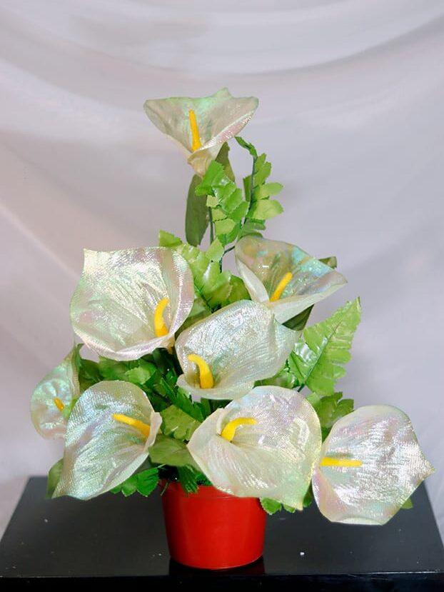 Anturio con Helecho - Amor y Amistad Envios a Bogotá y toda Colombia | Dkora Colombia