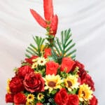 Rosas y Flores de cerezo - Amor y Amistad Envios a Bogotá y toda Colombia | Dkora Colombia