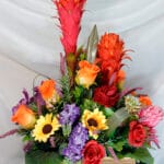 Rosas con follaje bicolor - Amor y Amistad Envios a Bogotá y toda Colombia | Dkora Colombia