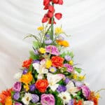 Heliconia Roja - Amor y Amistad Envios a Bogotá y toda Colombia | Dkora Colombia