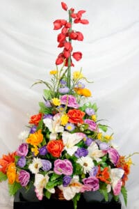 Flor Medinilla y margaritas - Amor y Amistad Envios a Bogotá y toda Colombia | Dkora Colombia