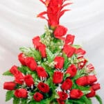 Flor Medinilla y margaritas - Amor y Amistad Envios a Bogotá y toda Colombia | Dkora Colombia