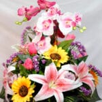 Botones y rosas - Amor y Amistad Envios a Bogotá y toda Colombia | Dkora Colombia